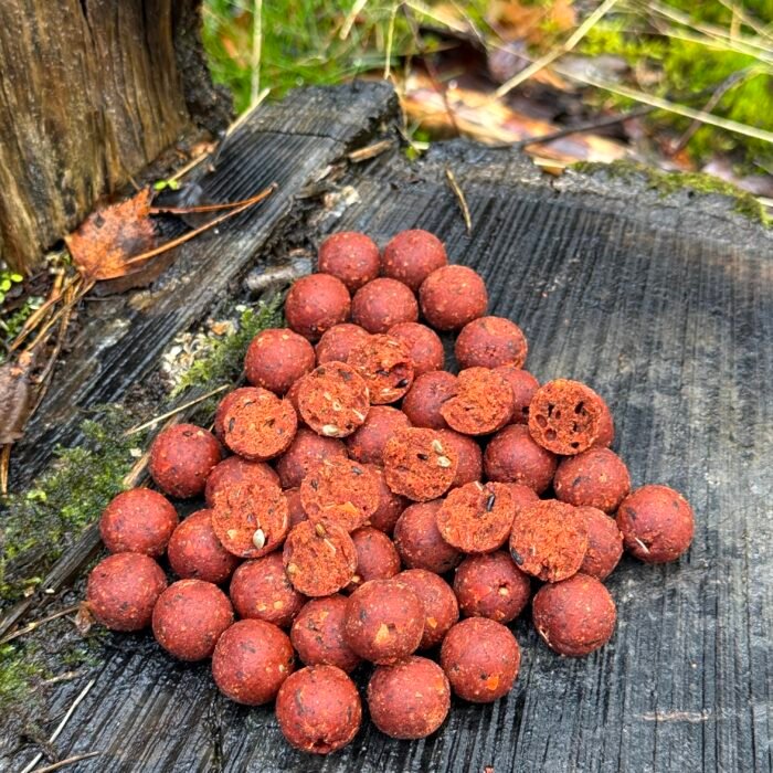 Premium Brzoskwinia Robin Red 1 KG
