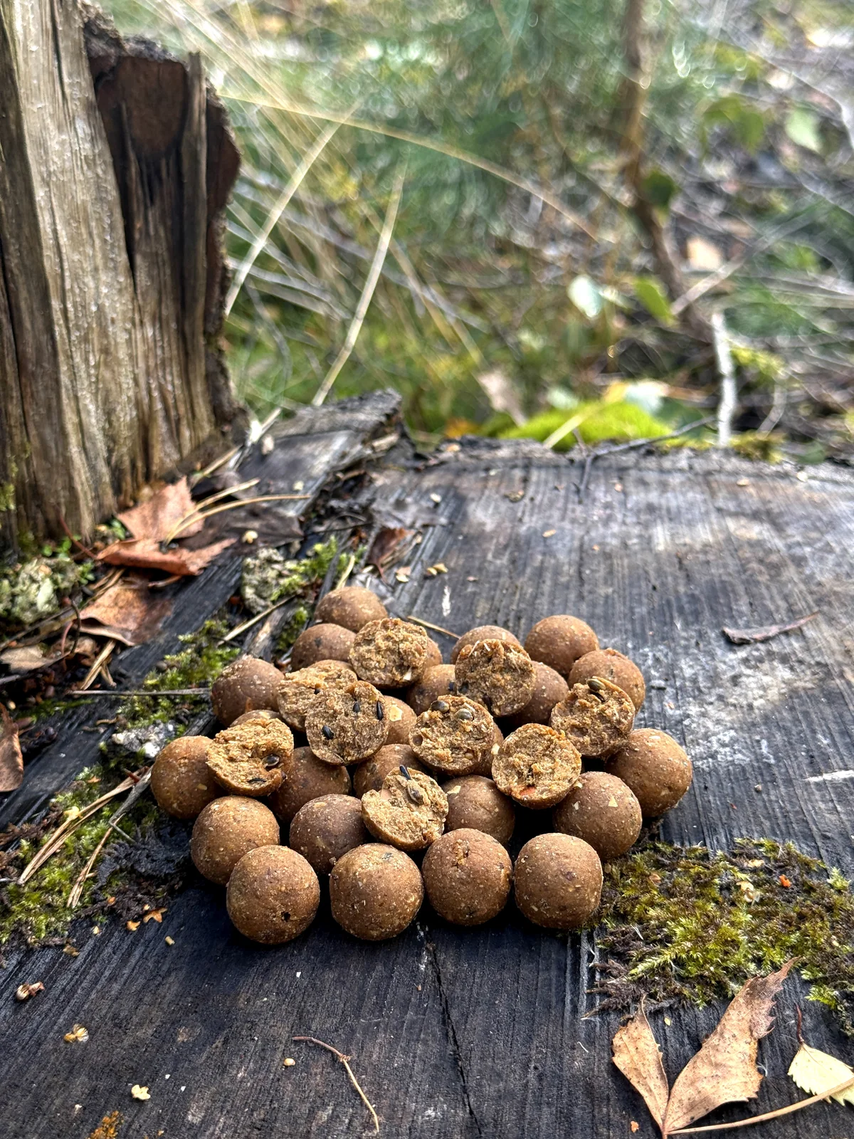 Kulki zanętowe Easy Feeding Truskawka Ryba